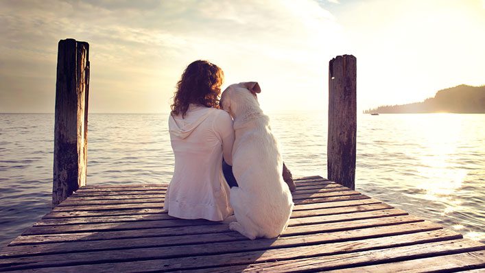 Could Your Pet Be a Guardian Angel? Look For These Signs